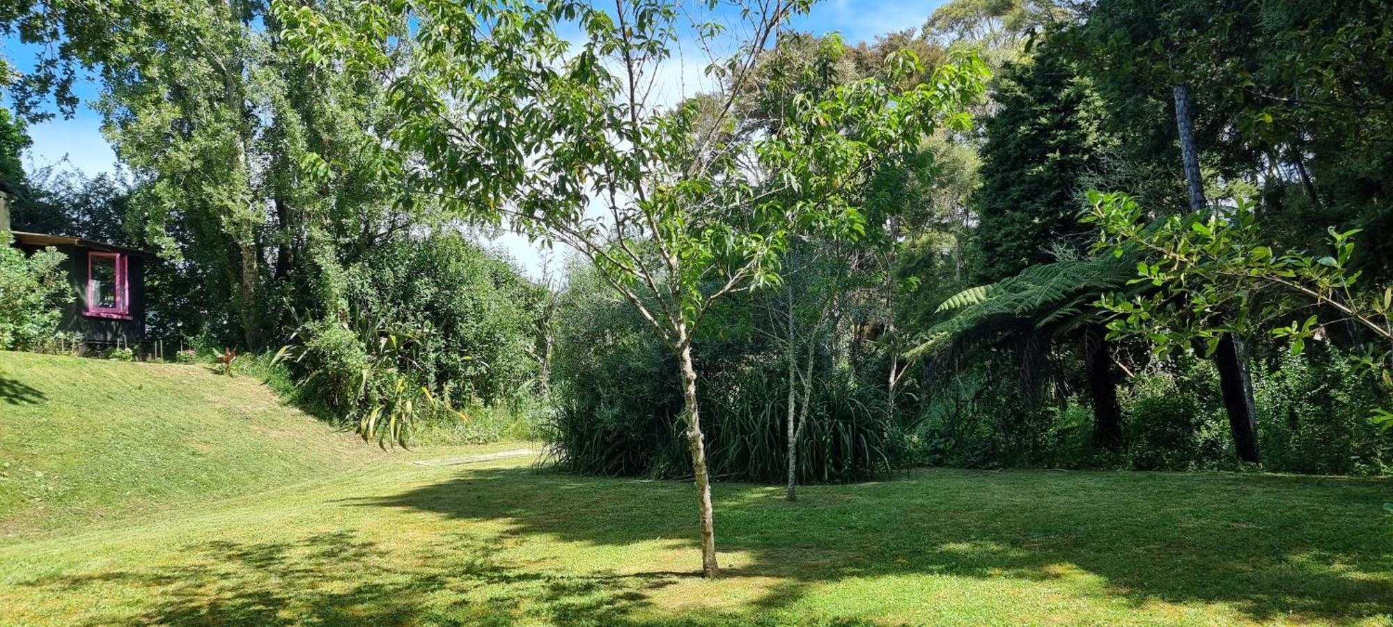 Pheasant Lodge Paparoa Exterior photo